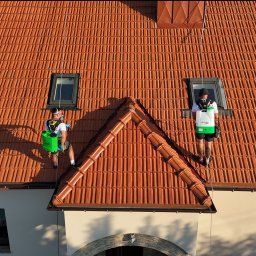 AlpinPeak - Dwóch pracowników z zielonymi opryskiwaczami na stromym, pomarańczowym dachu z dwoma oknami dachowymi, zabezpieczonych linami. Widok z góry.