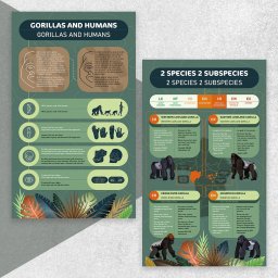 Graficy Cybulice Małe 1
