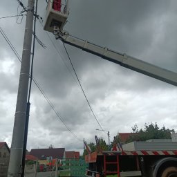 Wycinka drzew Kożuchów 2