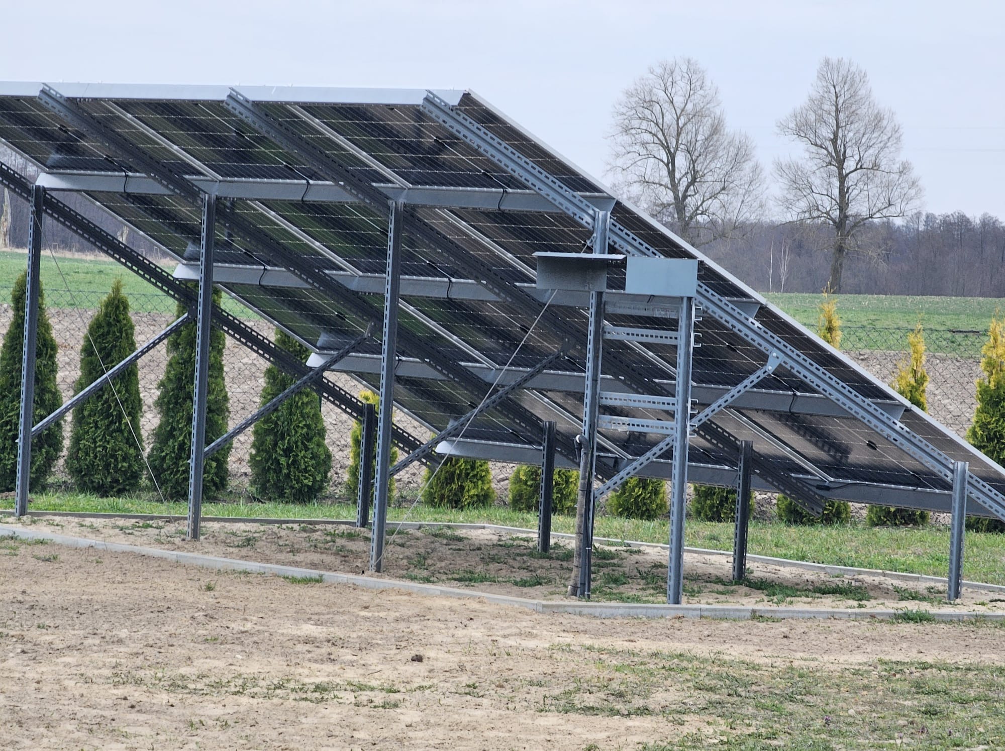 Instalacja fotowoltaiczna na metalowej konstrukcji, widok z dołu, z tujami w tle. Panele ustawione pod kątem, widoczne mocowania i elementy konstrukcyjne.