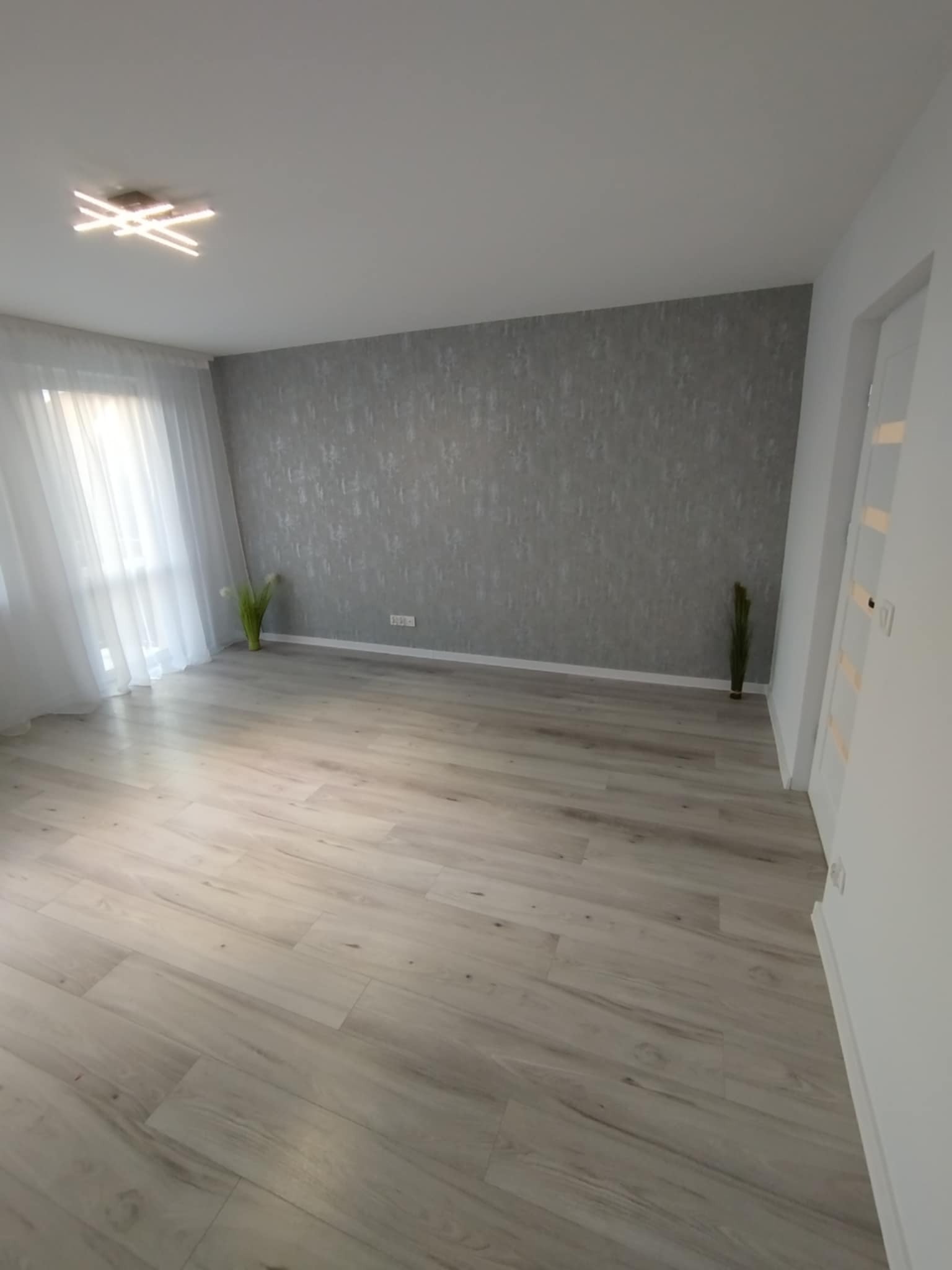 Jasne panele podłogowe w przestronnym pokoju z szarą ścianą akcentową i białymi drzwiami. Minimalistyczny wystrój, nowoczesne oświetlenie sufitowe.