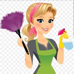 Mycie okien Wrocław - avatar