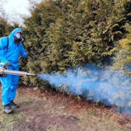 Dezynsekcja i deratyzacja Warcz 3