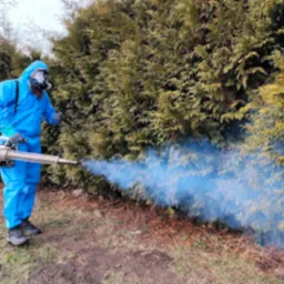 Osoba w kombinezonie ochronnym, masce, opryskuje roślinność niebieską mgłą za pomocą specjalistycznego sprzętu do dezynsekcji na zewnątrz.