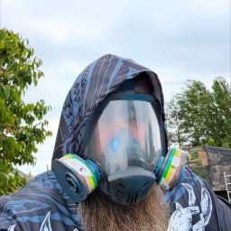 Dezynsekcja i deratyzacja Warcz 1