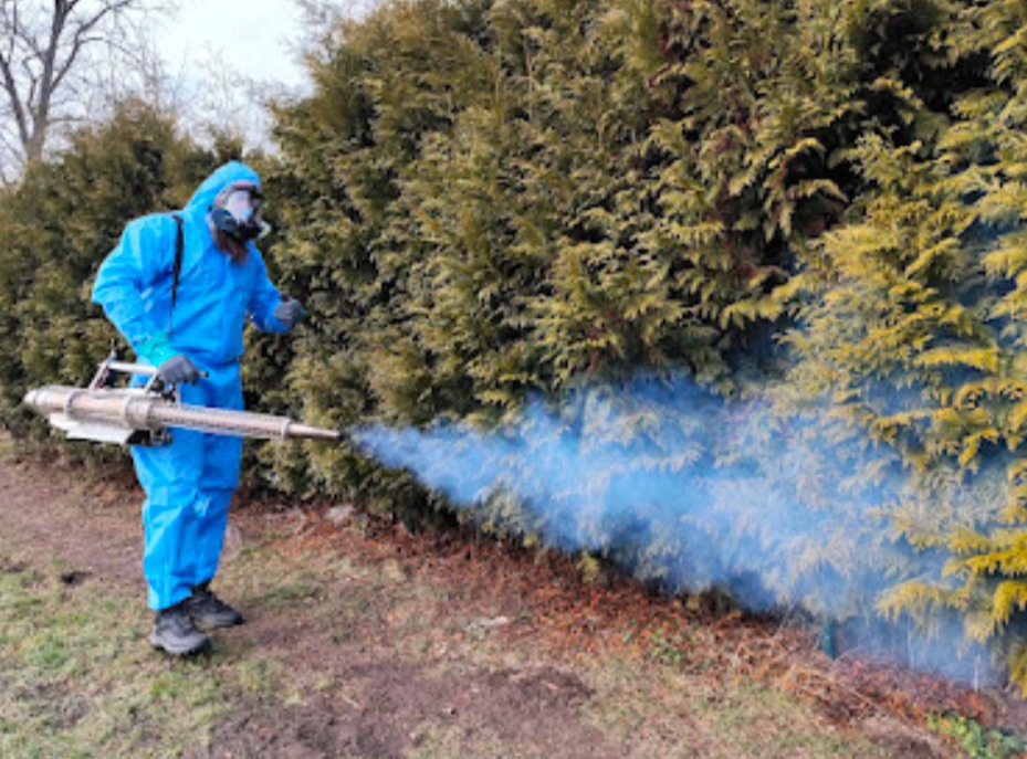 Osoba w kombinezonie ochronnym, masce, opryskuje roślinność niebieską mgłą za pomocą specjalistycznego sprzętu do dezynsekcji na zewnątrz.