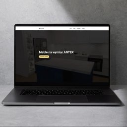 PROJSTOG Oscar Grzywa - Strony Internetowe - Meble na wymiar Antek Kolbuszowa – projekty kuchni, szaf i zabudów meblowych idealnie dopasowane do oczekiwań klienta.