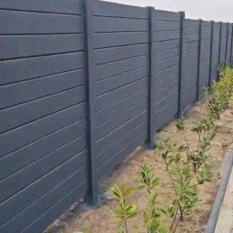 Zbigniew Salomon - Nowoczesne, grafitowe ogrodzenie panelowe z poziomym układem desek, widoczne z perspektywy ogrodu, z młodymi krzewami posadzonymi wzdłuż jego linii.