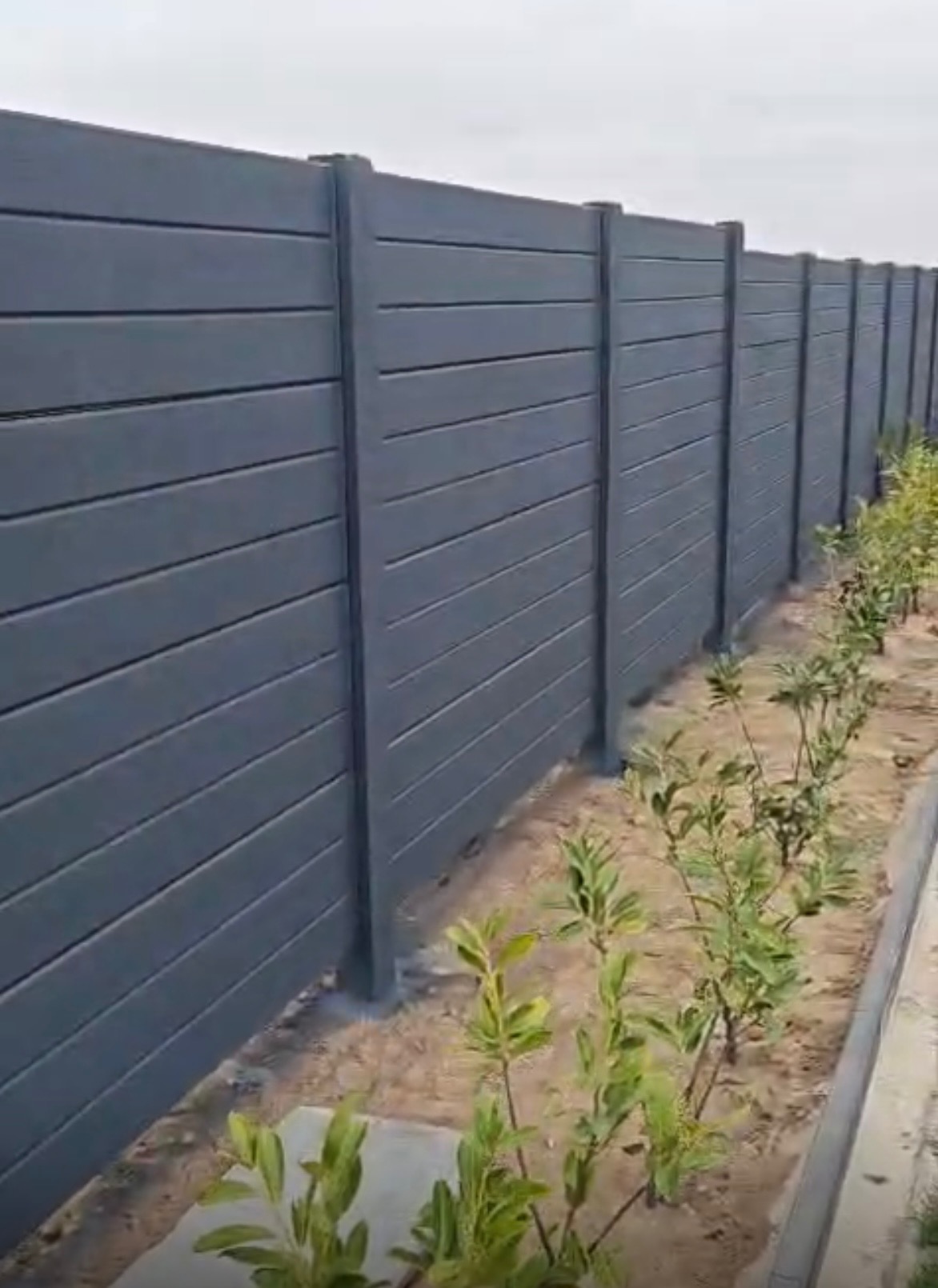 Nowoczesne, grafitowe ogrodzenie panelowe z poziomym układem desek, widoczne z perspektywy ogrodu, z młodymi krzewami posadzonymi wzdłuż jego linii.