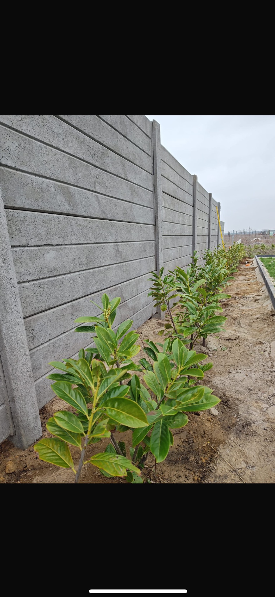Długi, szary, prefabrykowany płot betonowy z poziomymi panelami, obok posadzone małe drzewka. Widok z dołu, w tle pochmurne niebo.