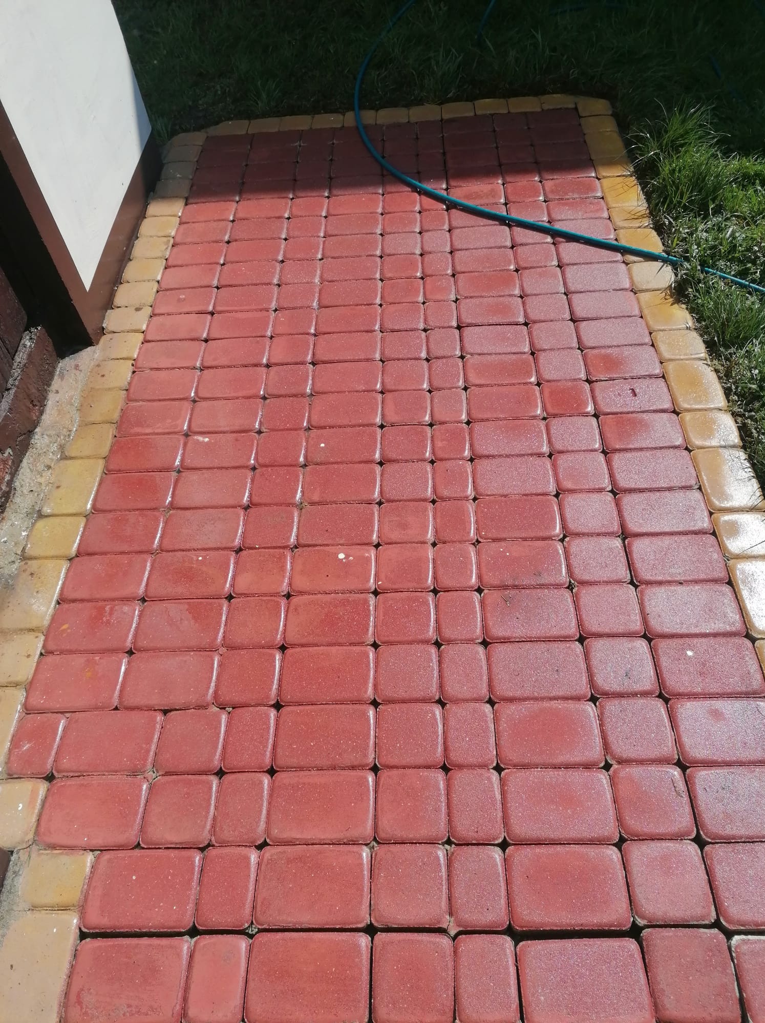 Czerwona kostka brukowa z żółtymi obrzeżami, częściowo mokra, z fragmentem węża ogrodowego i trawy w tle. Widok z góry, oświetlenie dzienne.