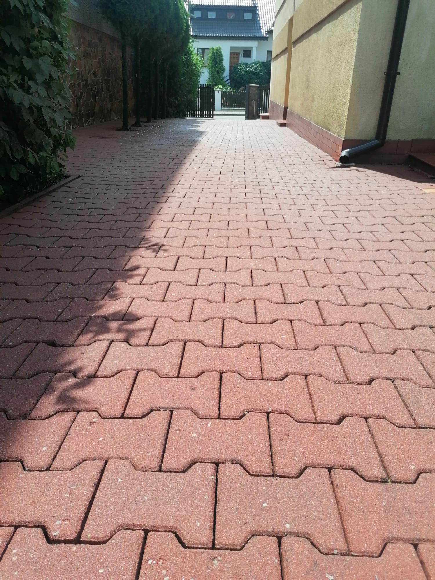 Czerwona kostka brukowa ułożona na podjeździe, z widocznymi cieniami drzew i fragmentem budynku w tle. Perspektywa z dołu podkreśla regularny wzór kostki.