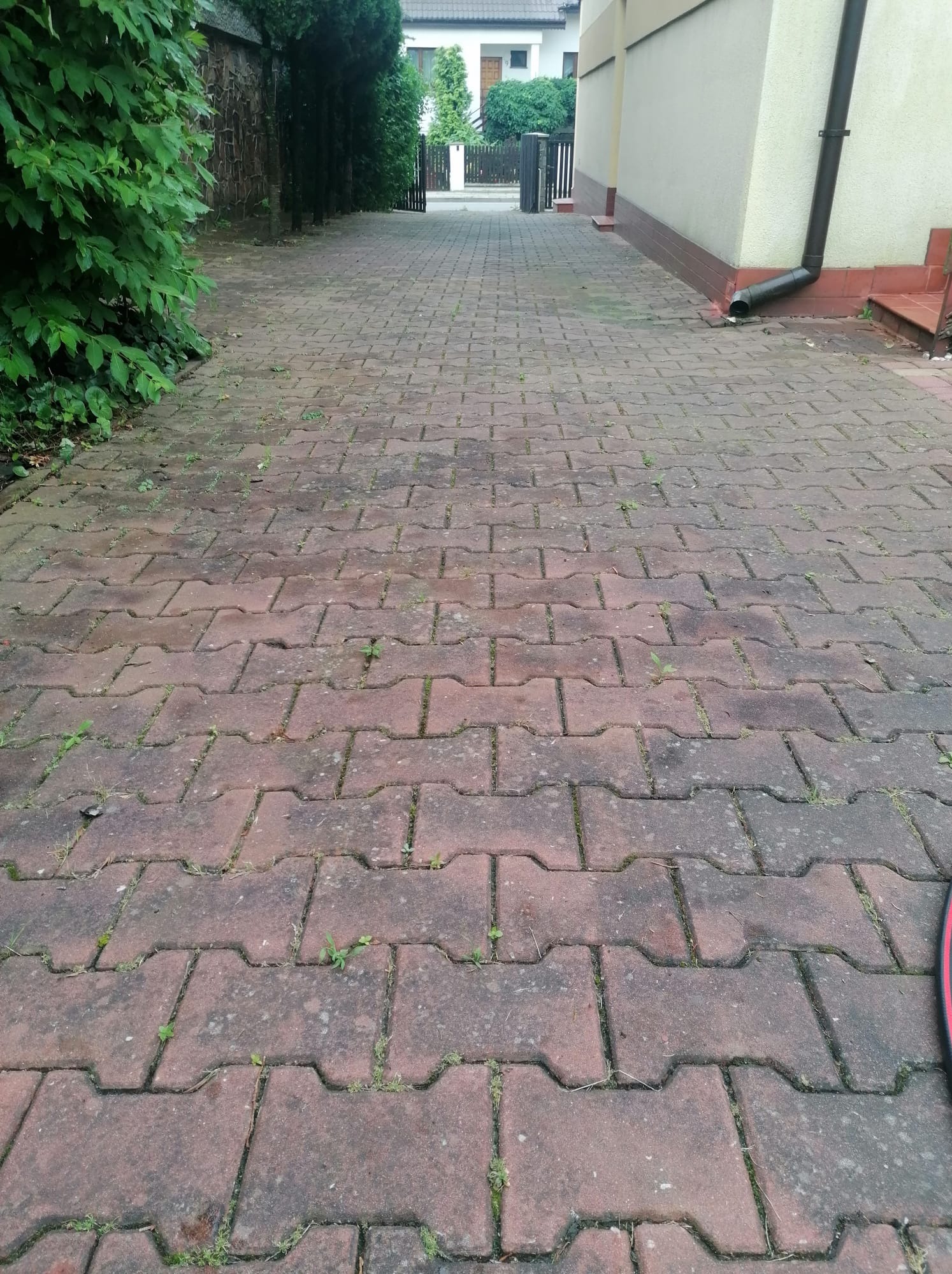 Czerwona kostka brukowa z porostami i chwastami, prowadząca w kierunku bramy. Widoczny fragment rynny i zieleń po bokach. Ujęcie z poziomu gruntu.