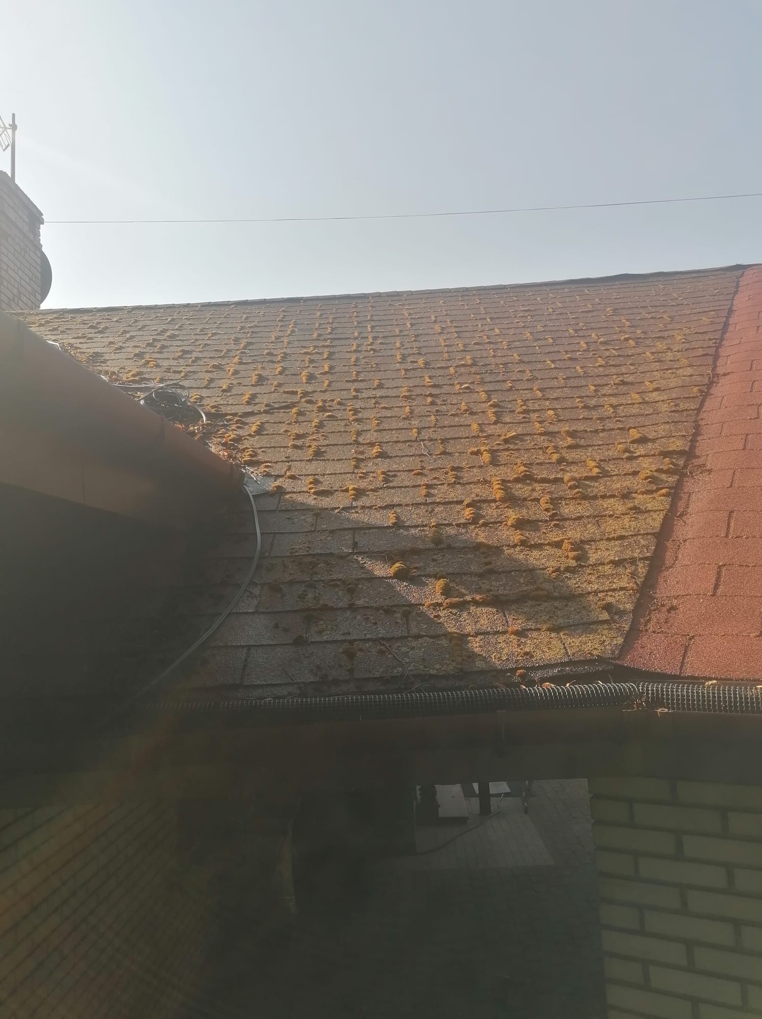 Zarośnięty mchem dach z dachówki bitumicznej w słoneczny dzień. Widoczny fragment rynny i ceglany komin. Część dachu w cieniu, część w słońcu.