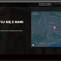 Tworzenie stron internetowych Gorzów Wielkopolski 3