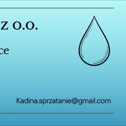 KADINA SP&Oacute;ŁKA Z OGRANICZONĄ ODPOWIEDZIALNOŚCIĄ - Sprzątanie Domu Katowice