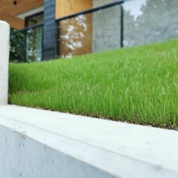 Usługi ogólne - Doskonałe Planowanie Ogrodu Jelenia Góra