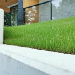 Świeżo założony trawnik z rolki na skarpie przy nowoczesnym domu z betonowym murkiem oporowym, widok z bliska na źdźbła trawy.