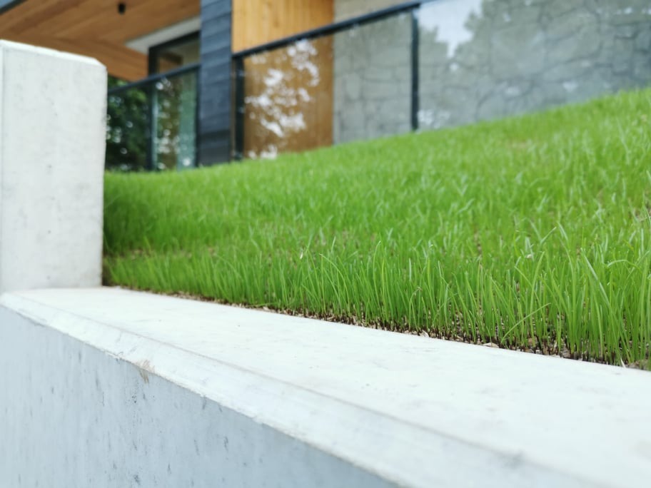 Świeżo założony trawnik z rolki na skarpie przy nowoczesnym domu z betonowym murkiem oporowym, widok z bliska na źdźbła trawy.