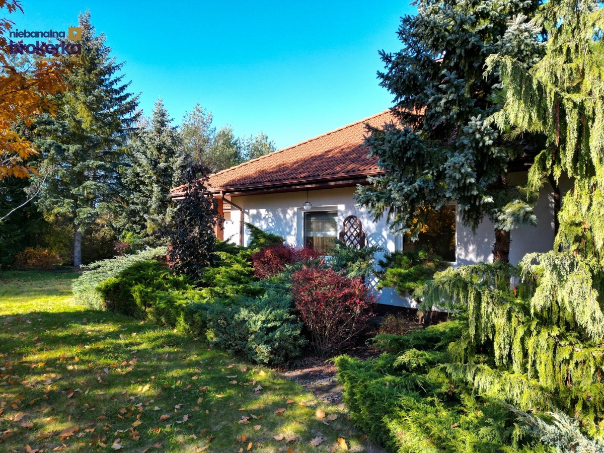 Dom jednorodzinny z czerwonym dachem, otoczony zielenią i drzewami iglastymi w słoneczny dzień. Widoczny fragment trawnika z opadłymi liśćmi.