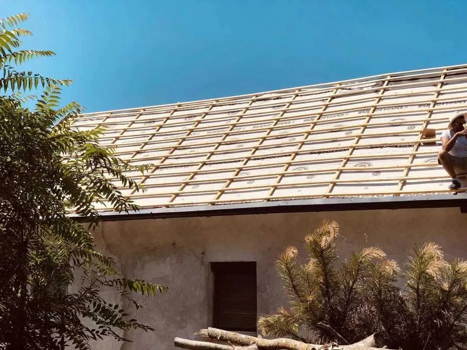 Dach w trakcie krycia: widoczne łaty i membrana dachowa na budynku z oknem. Po prawej dekarz siedzi na dachu. Ujęcie z dołu, widoczne drzewa.