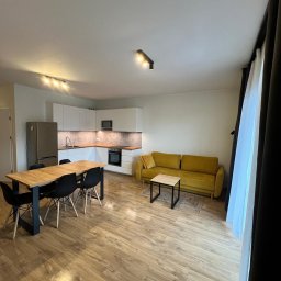 ClearSpace - Mycie okien i luster - BEZ SMUD