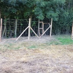 ZIELONA EKIPA KRZYSZTOF ŁABA - Doskonałe Ogrody Złotoryja