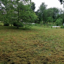 Siatka ogrodzeniowa Złotoryja