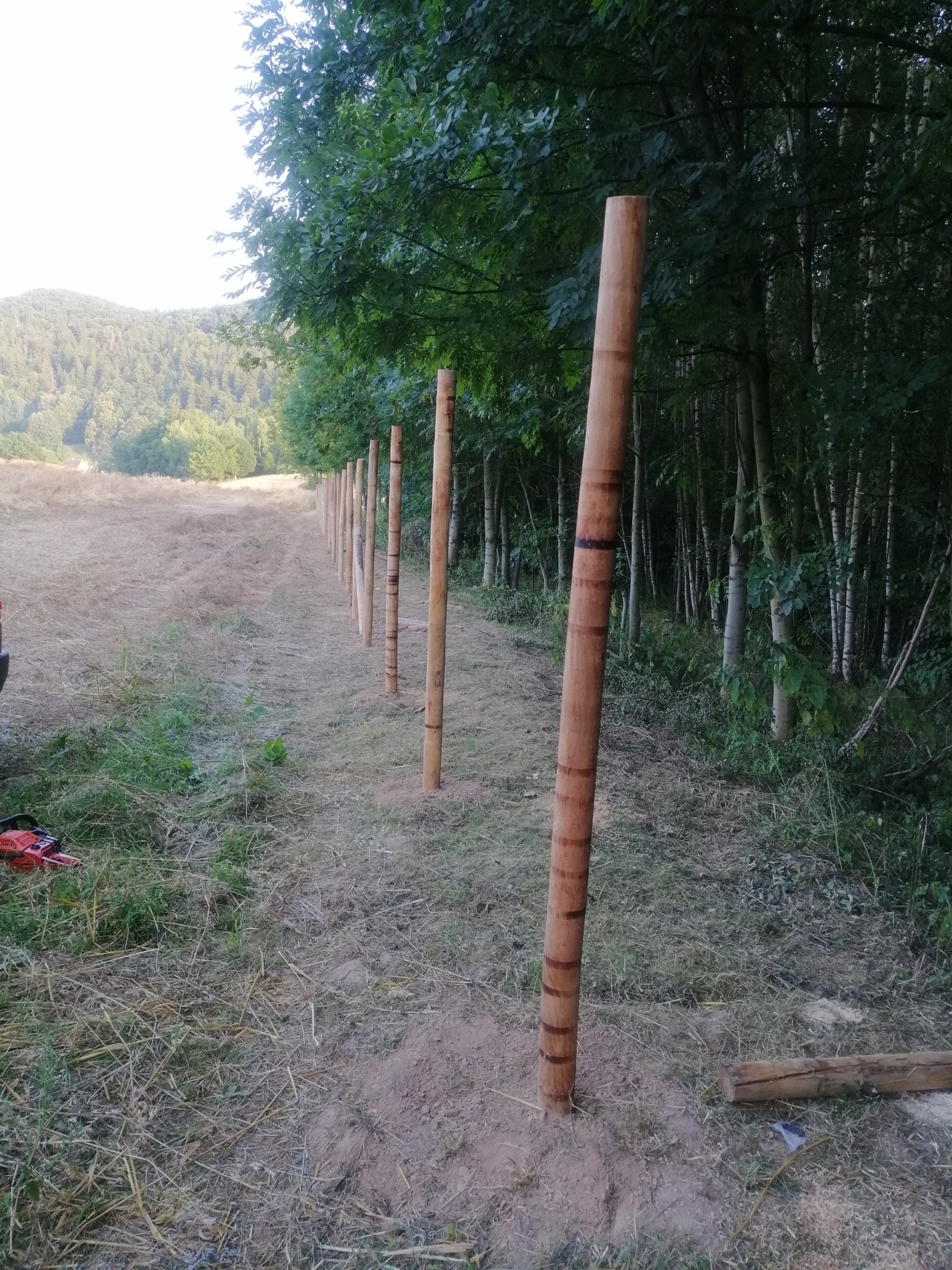 Rząd drewnianych słupków ogrodzeniowych, jeszcze bez siatki, wkopanych w ziemię na skraju lasu. W tle łąka i zalesione wzgórze. Na pierwszym planie piła spalinowa.