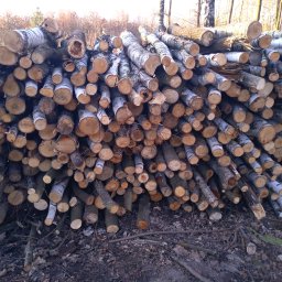 Drewno kominkowe Witaszyce 2