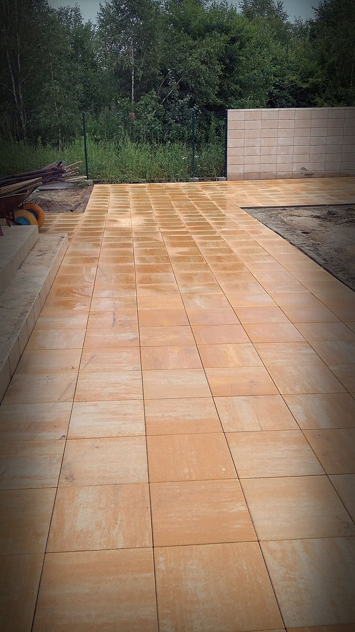 Ułożona, beżowa kostka brukowa na posesji. Widoczne elementy ogrodu i fragment muru. Kostka sprawia wrażenie mokrej, co dodaje jej blasku.