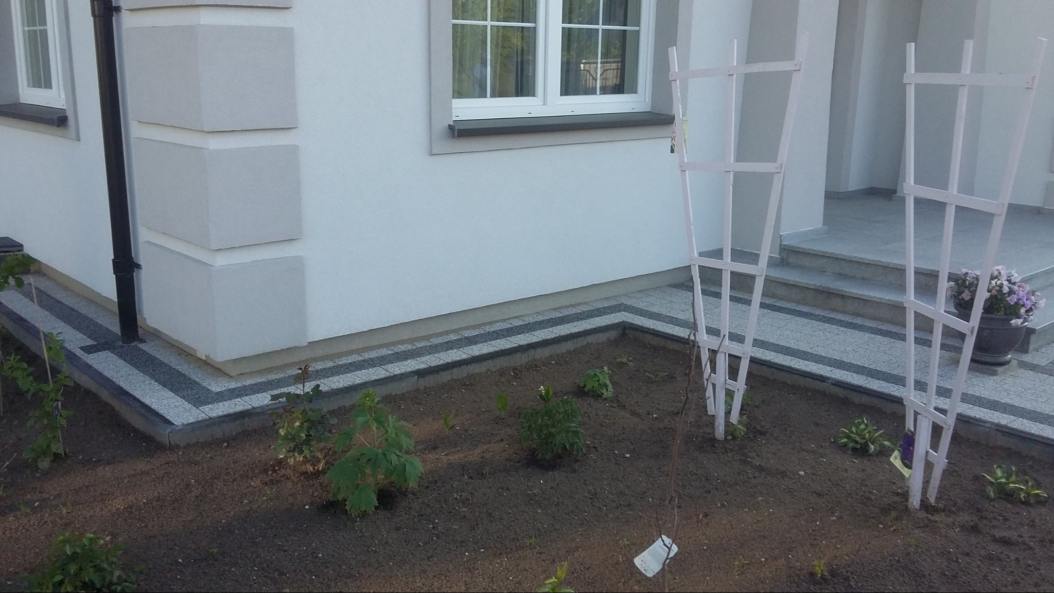 Wykończony chodnik z kostki brukowej w szaro-czarnych odcieniach, okalający rabatę z młodymi roślinami przy białym budynku z oknem. Widoczne białe podpory dla roślin.