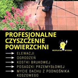 Profesjonalne Czyszczenie Powierzchni Tomasz Musztarenko - Mycie dach&oacute;w Świebodzin