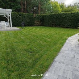 Koszenie trawy i przycięcie żywopłotu z choinek