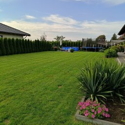 Koszenie trawy Słupsk 2