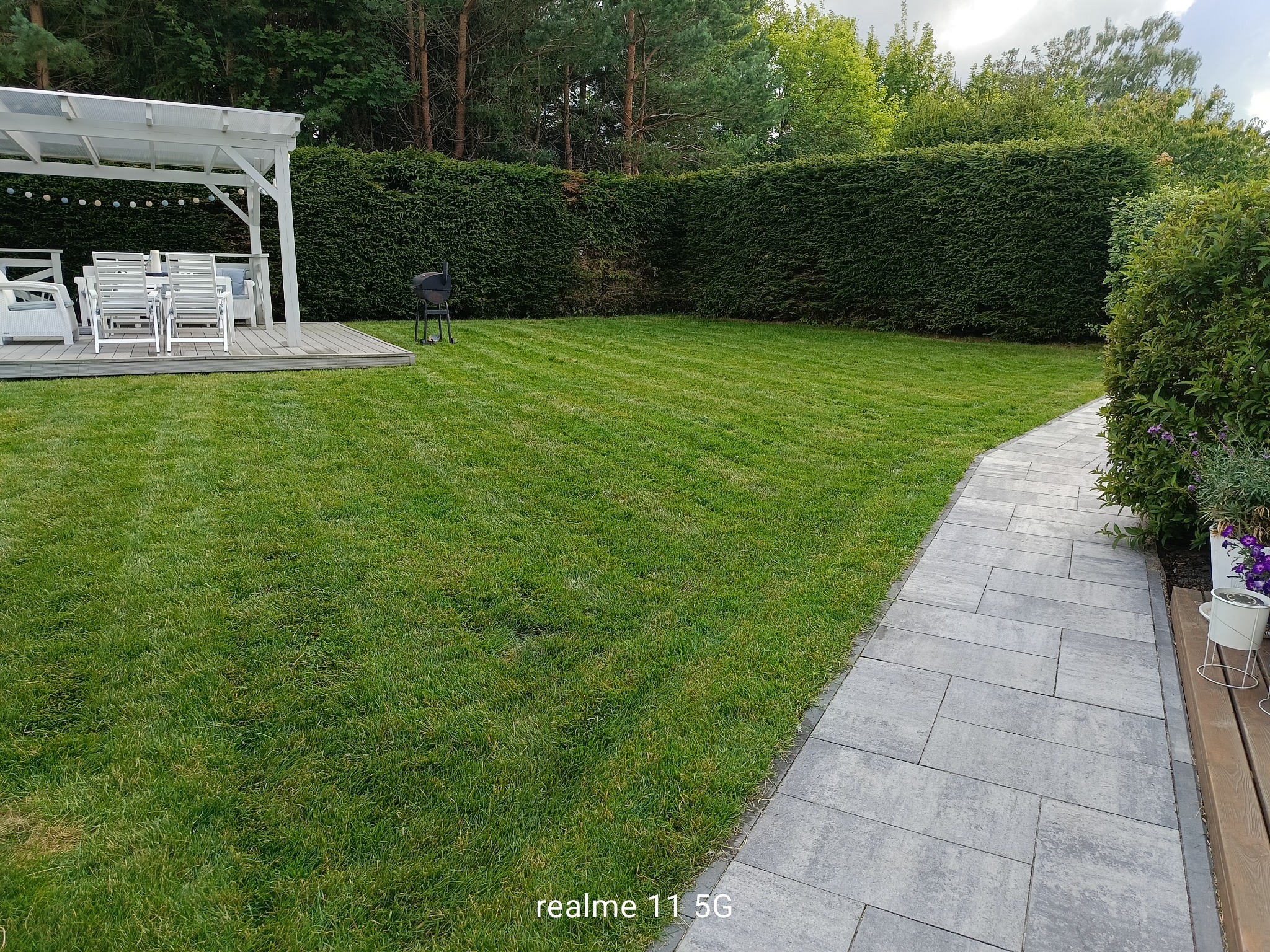 Koszenie trawy i przycięcie żywopłotu z choinek