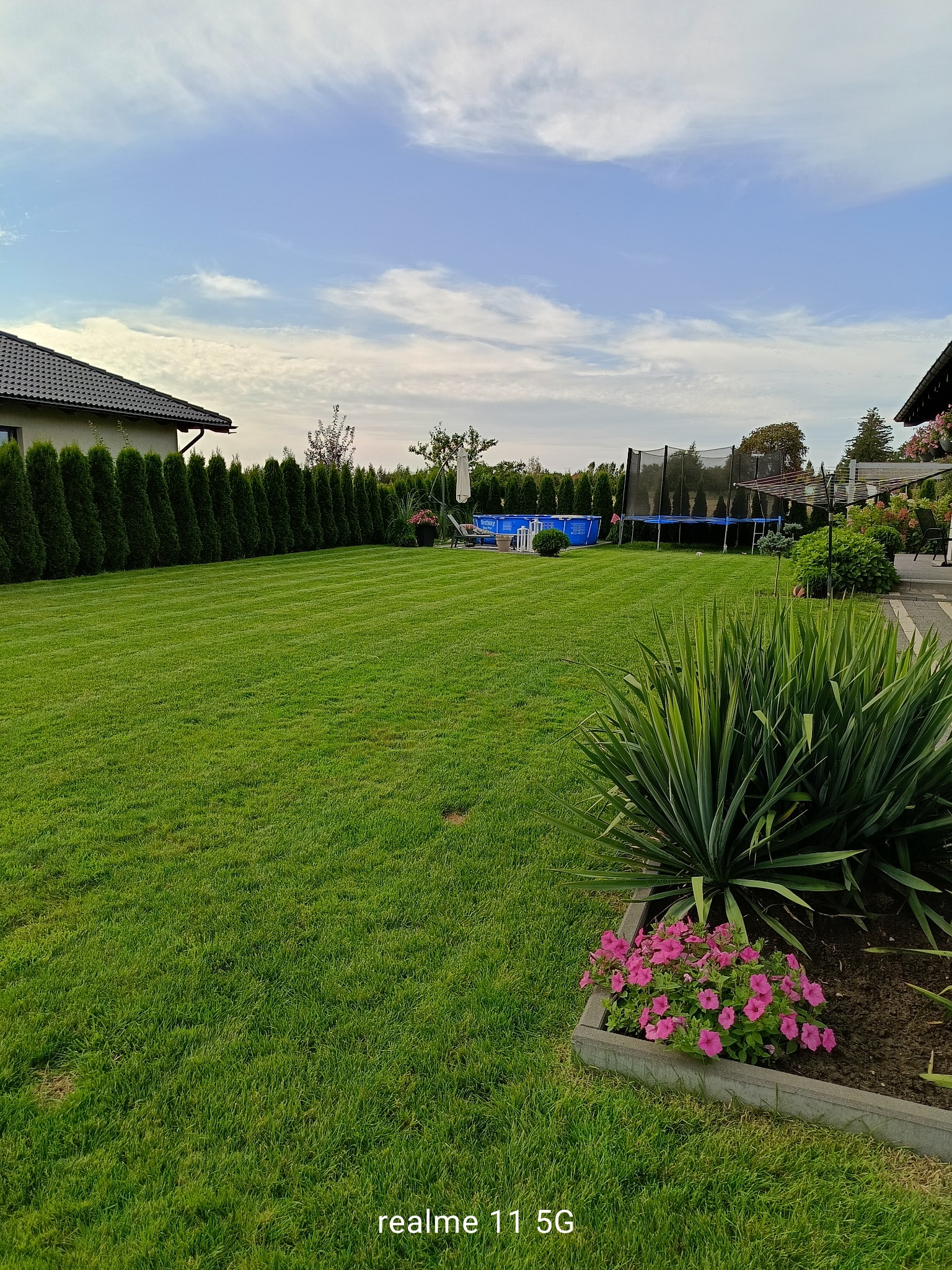 Starannie utrzymany trawnik z równo skoszoną trawą i żywopłotem z tui. W tle basen i trampolina, a w pierwszym planie rabata z różowymi kwiatami.