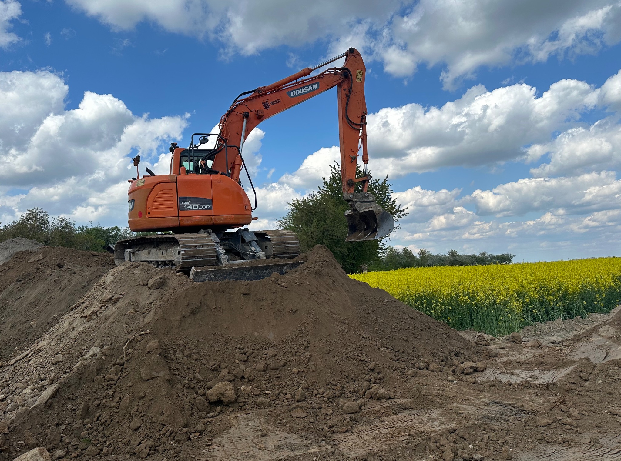 Pomarańczowa koparka Doosan na hałdzie ziemi, w tle pole rzepaku i błękitne niebo z chmurami. Widok z poziomu gruntu.