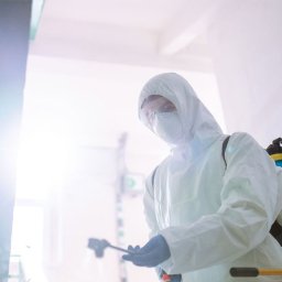 Dezynsekcja i deratyzacja Warszawa 4