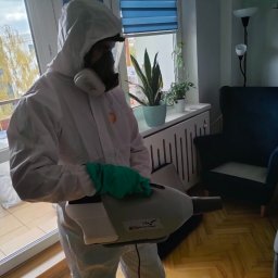 Dezynsekcja i deratyzacja Warszawa 3