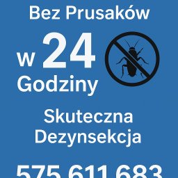 Dezynsekcja i deratyzacja Warszawa 1