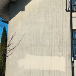 Fragment elewacji budynku z widocznym obszarem po czyszczeniu, z zaciekami i zabrudzeniami. Elementy architektury i roślinność w tle.