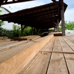 Ujęcie z dołu na składowane deski tarcicy budowlanej pod zadaszeniem, widoczne słoje drewna i elementy konstrukcji dachu. W tle zieleń drzew i fragment budynku.