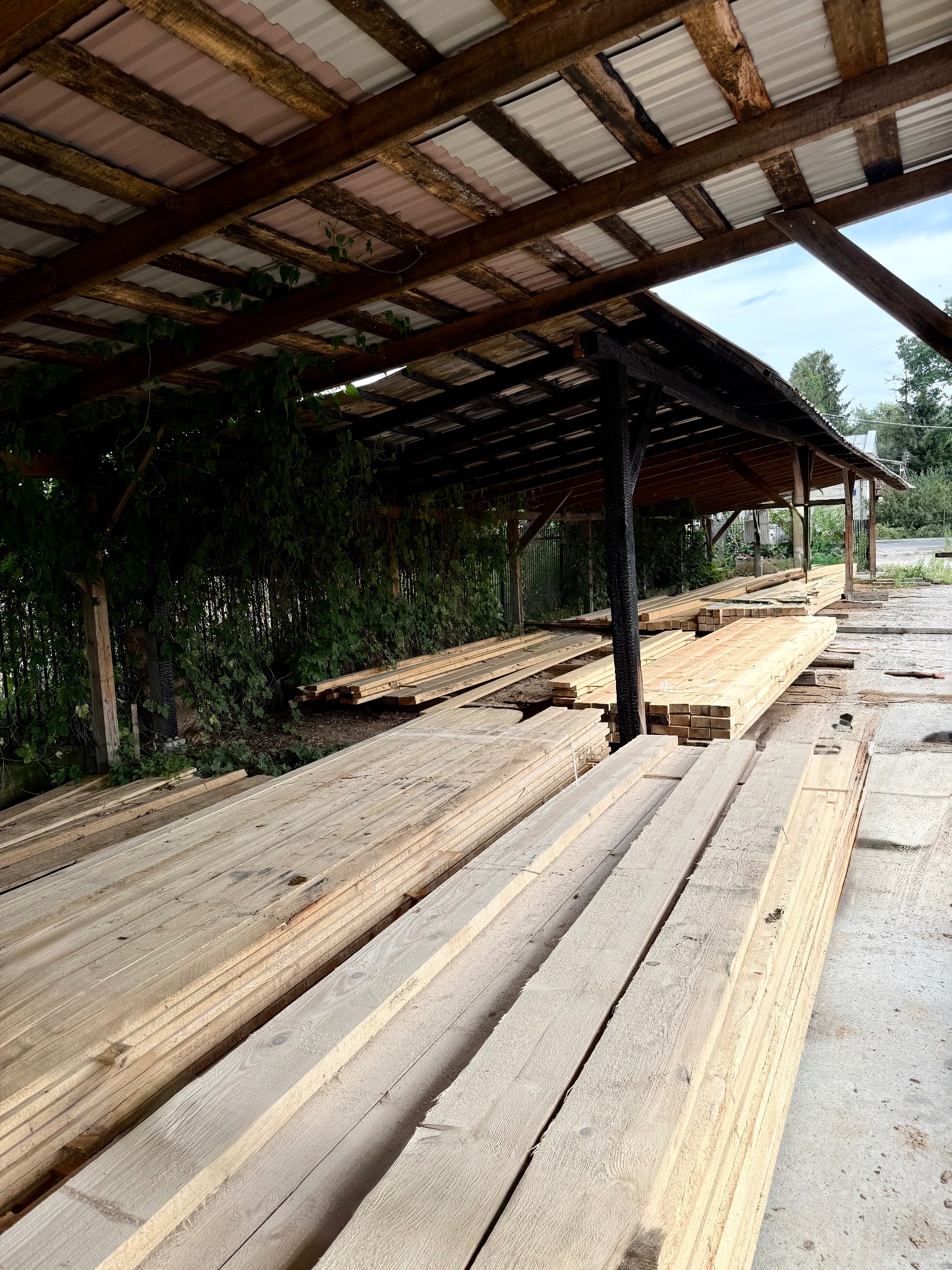 Stosy jasnej tarcicy budowlanej pod zadaszeniem z blachy falistej, widok z perspektywy, zieleń w tle, element konstrukcyjny po pożarze.