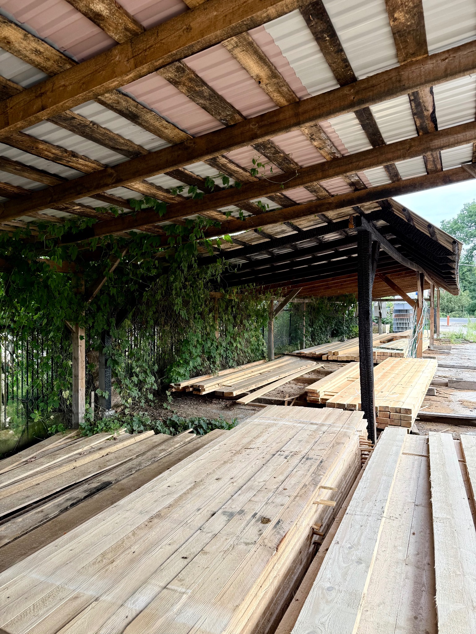 Zadaszony skład tarcicy budowlanej z drewnianą konstrukcją, blachą trapezową i zieloną roślinnością. Ułożone deski w równych stosach, widok z perspektywy.