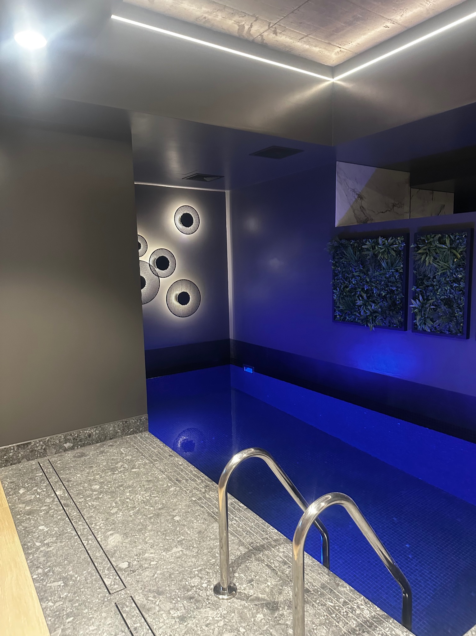 Nowoczesny basen wewnętrzny z oświetleniem LED, dekoracyjnymi panelami ściennymi i metalową drabinką. Minimalistyczny design, chłodna kolorystyka, eleganckie wykończenie.