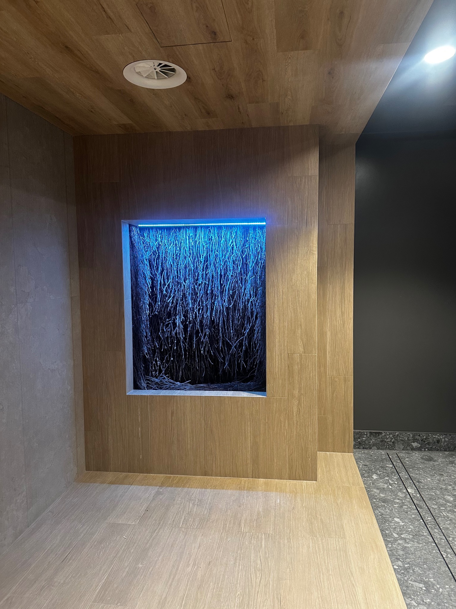 Nowoczesna ściana z podświetlaną na niebiesko instalacją przypominającą korzenie, wkomponowana w drewnopodobne panele ścienne. Minimalistyczne wnętrze z elementami dekoracyjnymi.