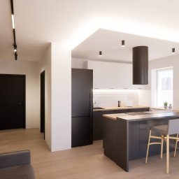 InArt EWELINA GOŁEMBIEWSKA - Nowoczesne wnętrze mieszkania z otwartą kuchnią, wyspą i minimalistycznym oświetleniem. Widoczny fragment salonu z szarą sofą i abstrakcyjną grafiką na ścianie.