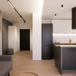 Nowoczesne wnętrze mieszkania w Konstantynowie Łódzkim: salon z aneksem kuchennym, szara sofa, minimalistyczna grafika na ścianie, czarne akcenty w kuchni i oświetleniu.