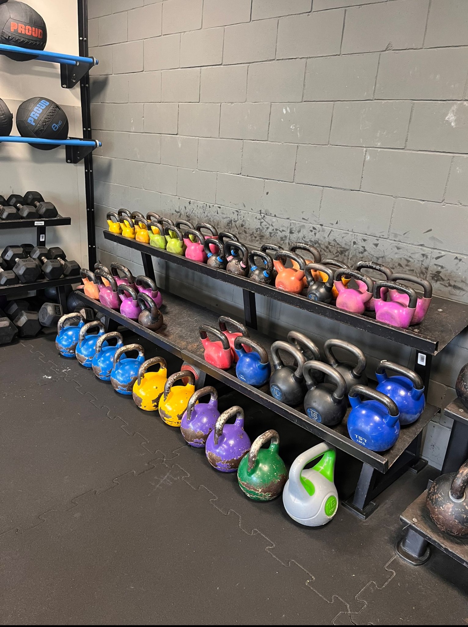 Rząd kolorowych kettlebells na półkach w siłowni. Różne wagi i kolory, od niebieskich po różowe i zielone, ustawione w rzędach na tle szarej ściany z cegieł.